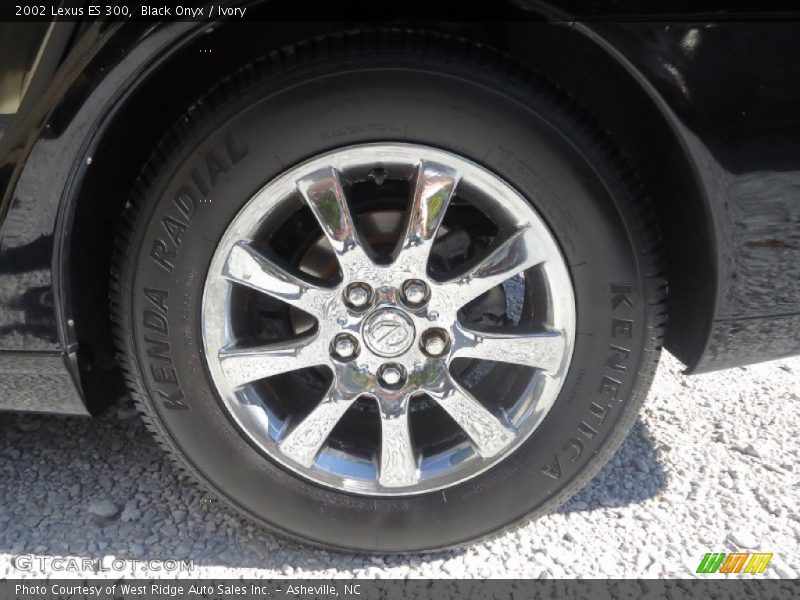 Black Onyx / Ivory 2002 Lexus ES 300