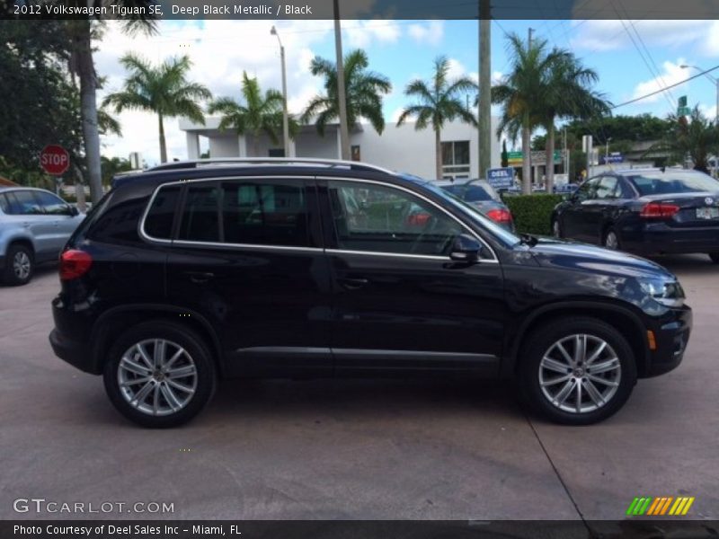 Deep Black Metallic / Black 2012 Volkswagen Tiguan SE