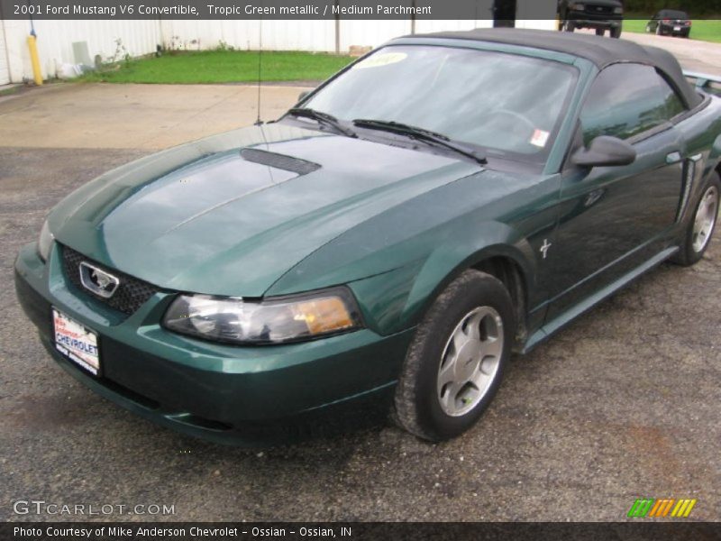 Tropic Green metallic / Medium Parchment 2001 Ford Mustang V6 Convertible