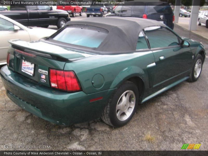 Tropic Green metallic / Medium Parchment 2001 Ford Mustang V6 Convertible