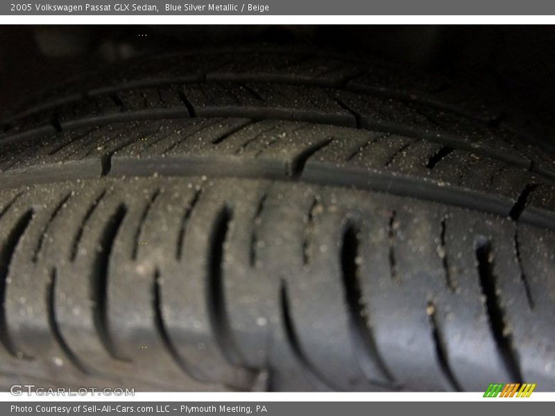 Blue Silver Metallic / Beige 2005 Volkswagen Passat GLX Sedan