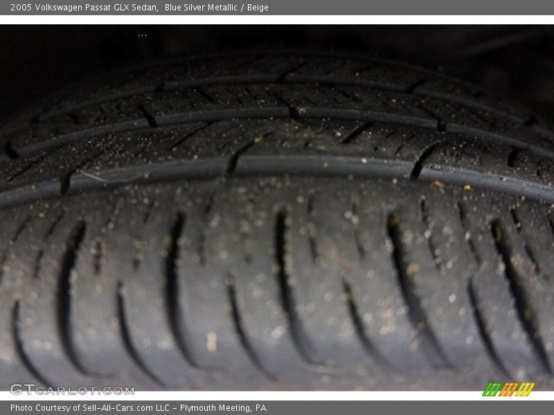 Blue Silver Metallic / Beige 2005 Volkswagen Passat GLX Sedan