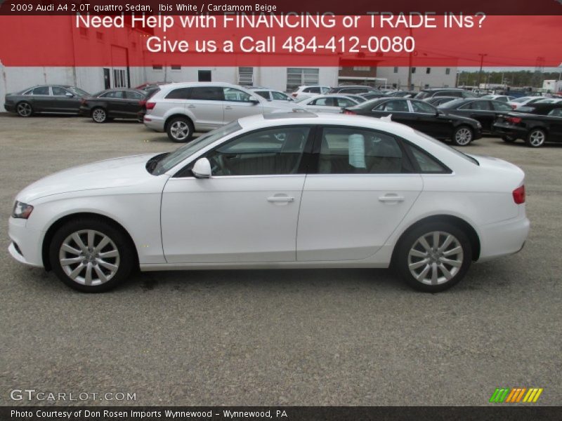 Ibis White / Cardamom Beige 2009 Audi A4 2.0T quattro Sedan