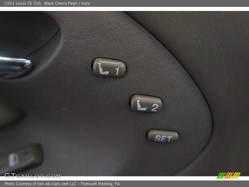Black Cherry Pearl / Ivory 2001 Lexus GS 300