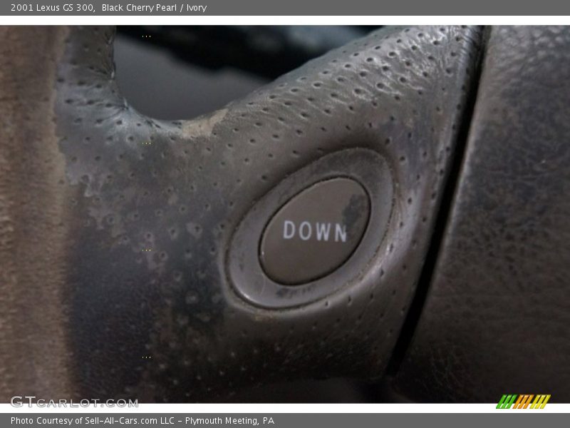 Black Cherry Pearl / Ivory 2001 Lexus GS 300