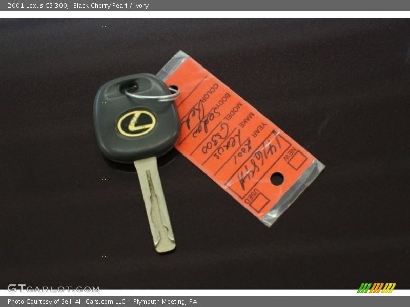 Black Cherry Pearl / Ivory 2001 Lexus GS 300