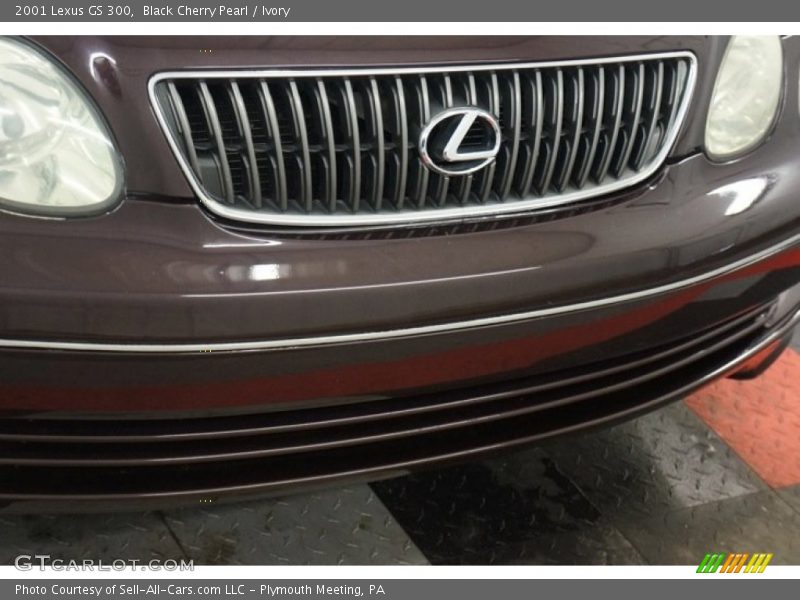 Black Cherry Pearl / Ivory 2001 Lexus GS 300