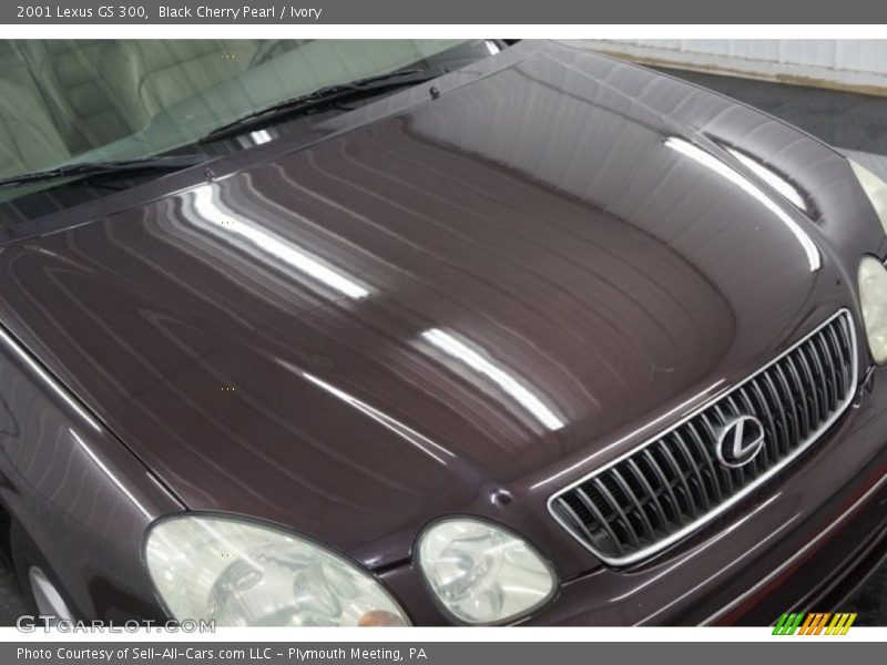 Black Cherry Pearl / Ivory 2001 Lexus GS 300