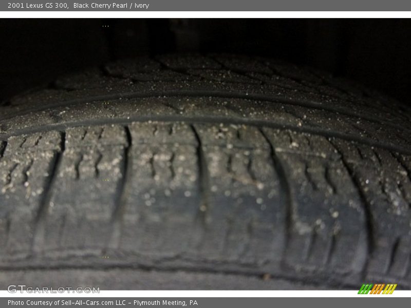 Black Cherry Pearl / Ivory 2001 Lexus GS 300