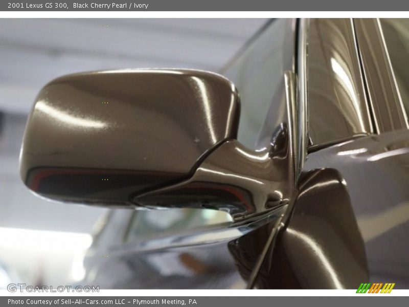 Black Cherry Pearl / Ivory 2001 Lexus GS 300