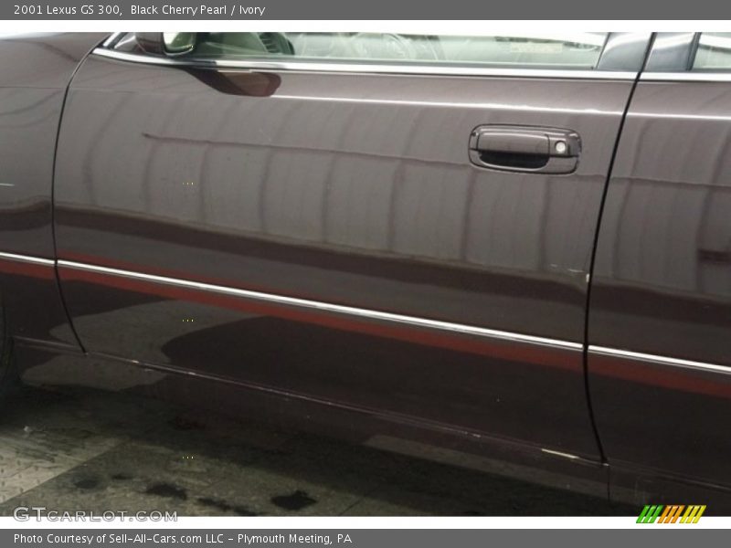 Black Cherry Pearl / Ivory 2001 Lexus GS 300