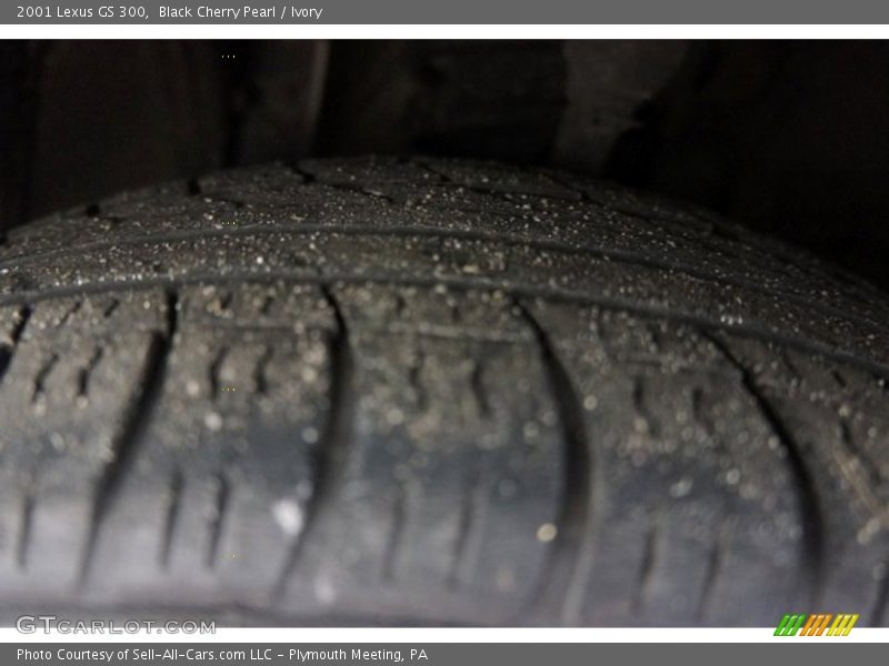 Black Cherry Pearl / Ivory 2001 Lexus GS 300