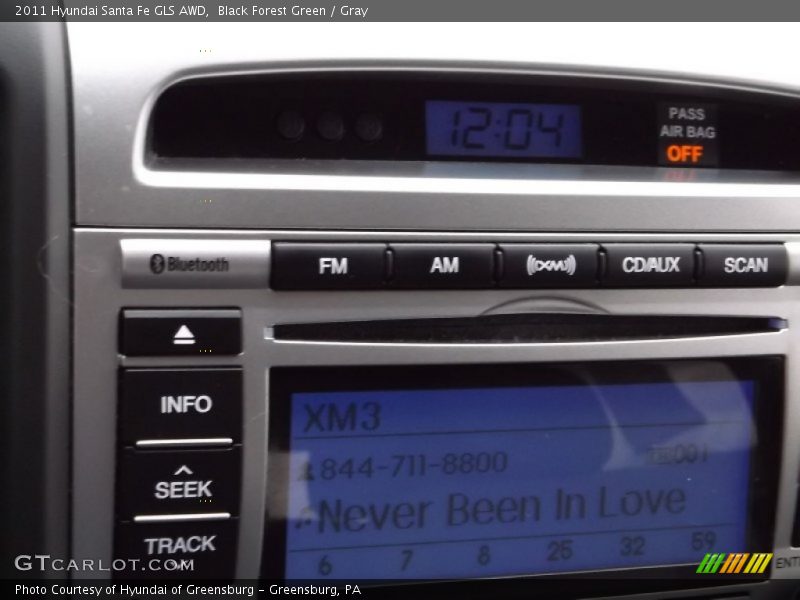 Black Forest Green / Gray 2011 Hyundai Santa Fe GLS AWD