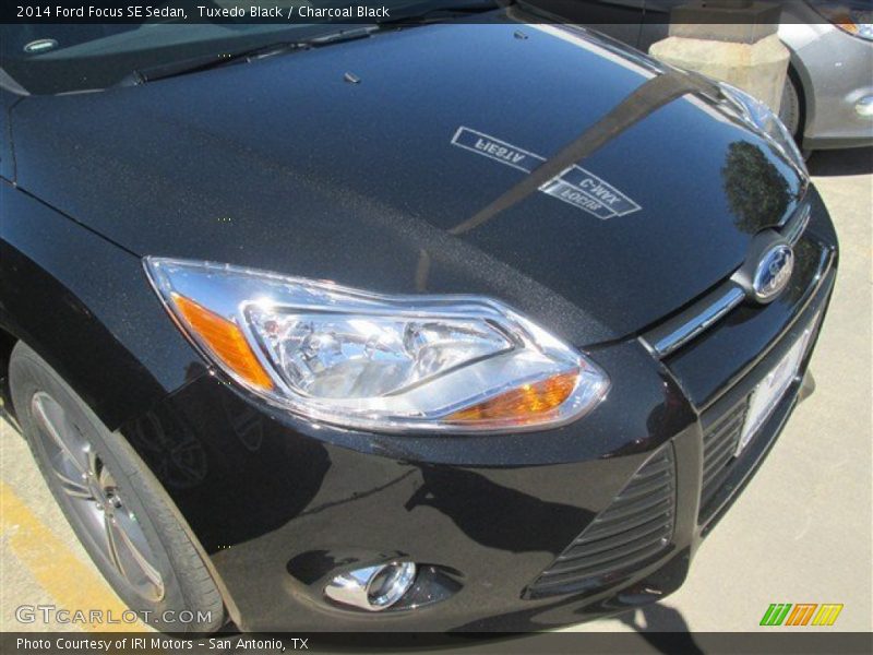 Tuxedo Black / Charcoal Black 2014 Ford Focus SE Sedan