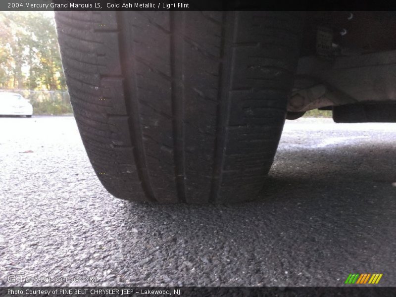 Gold Ash Metallic / Light Flint 2004 Mercury Grand Marquis LS