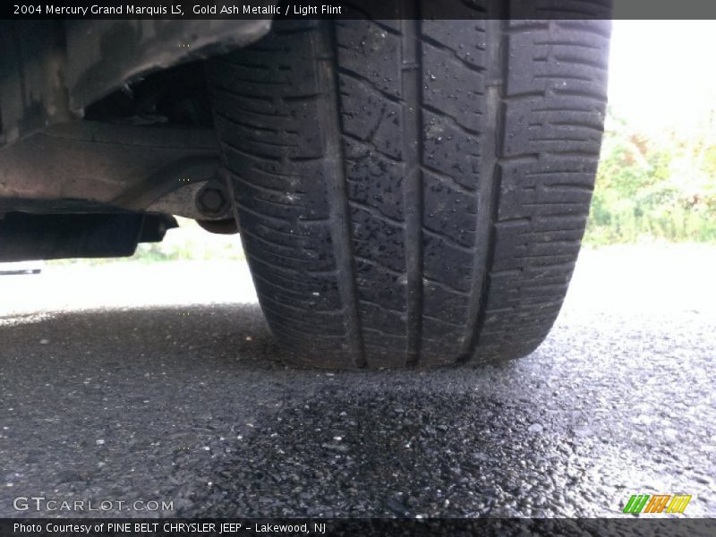 Gold Ash Metallic / Light Flint 2004 Mercury Grand Marquis LS