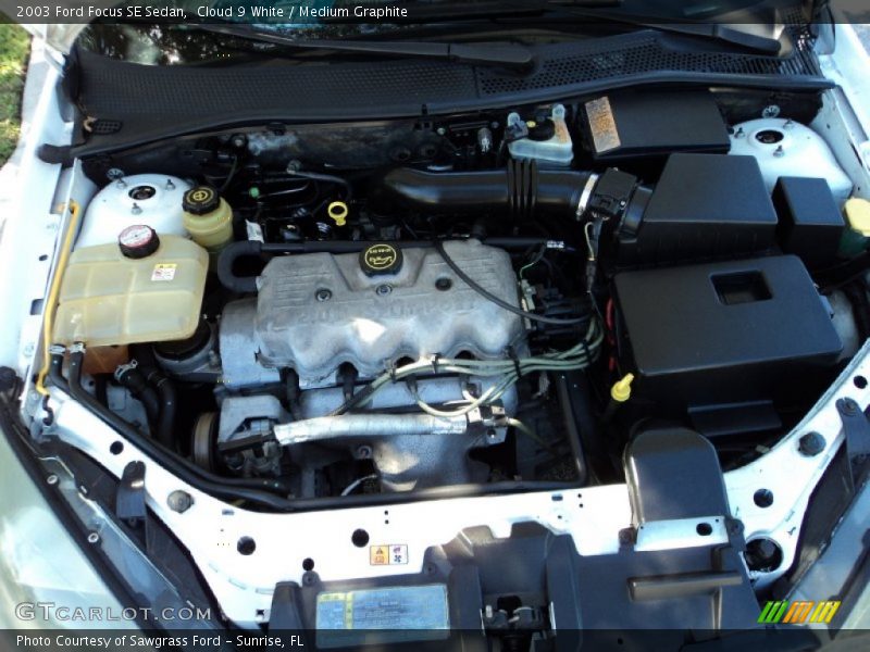 Cloud 9 White / Medium Graphite 2003 Ford Focus SE Sedan