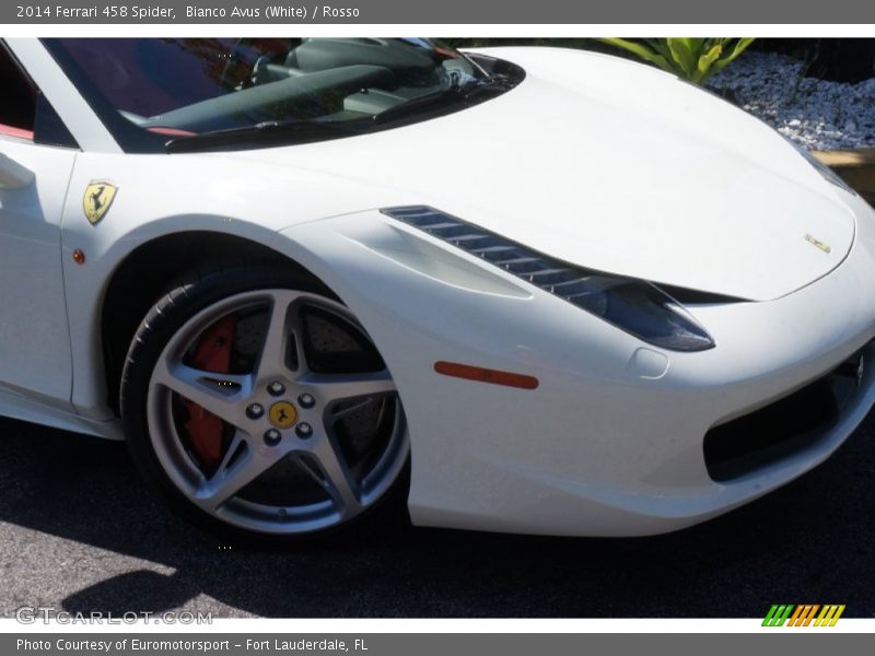 Bianco Avus (White) / Rosso 2014 Ferrari 458 Spider