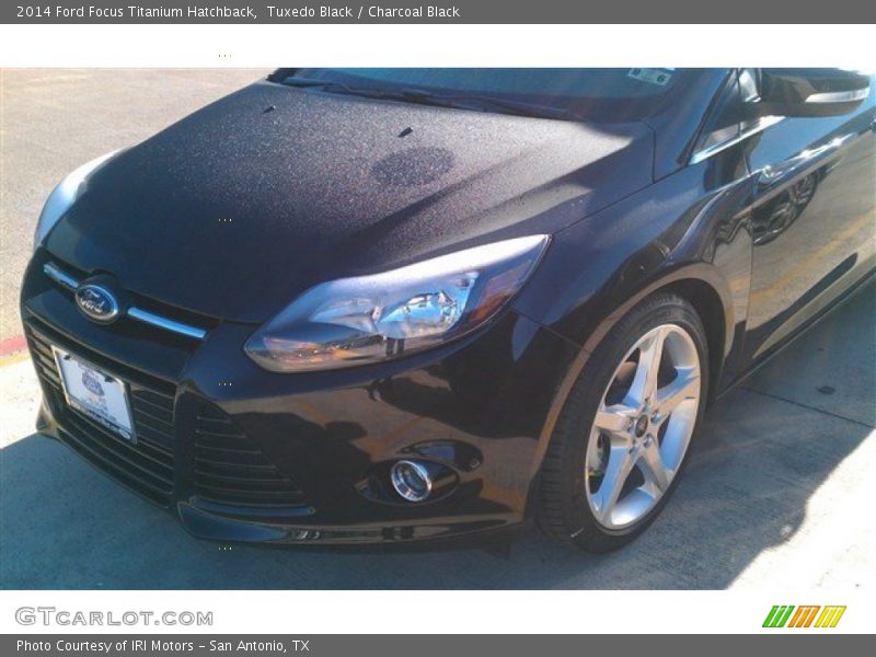 Tuxedo Black / Charcoal Black 2014 Ford Focus Titanium Hatchback