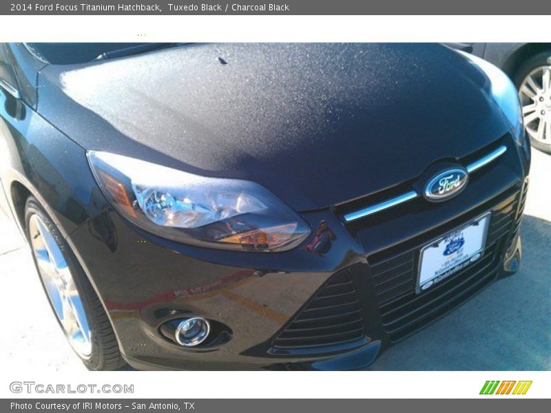 Tuxedo Black / Charcoal Black 2014 Ford Focus Titanium Hatchback