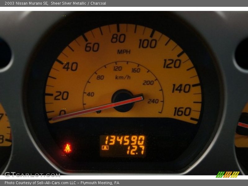 Sheer Silver Metallic / Charcoal 2003 Nissan Murano SE