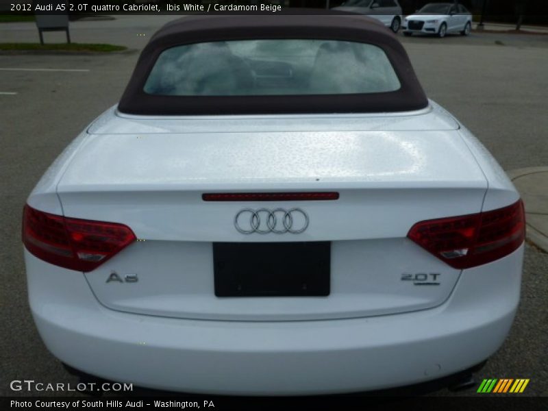 Ibis White / Cardamom Beige 2012 Audi A5 2.0T quattro Cabriolet