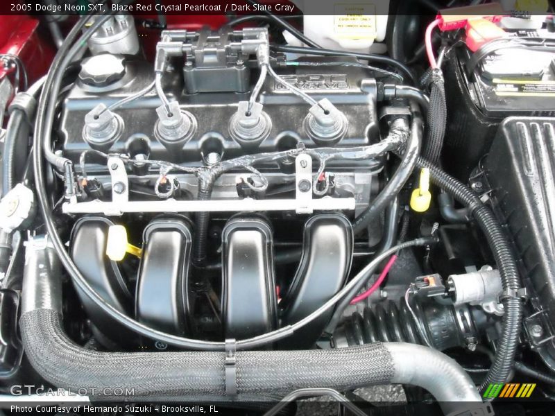 Blaze Red Crystal Pearlcoat / Dark Slate Gray 2005 Dodge Neon SXT