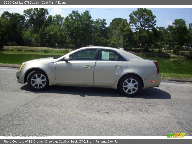 Gold Mist / Ebony 2009 Cadillac CTS Sedan