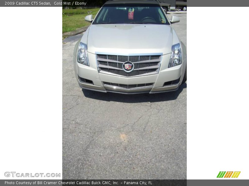 Gold Mist / Ebony 2009 Cadillac CTS Sedan