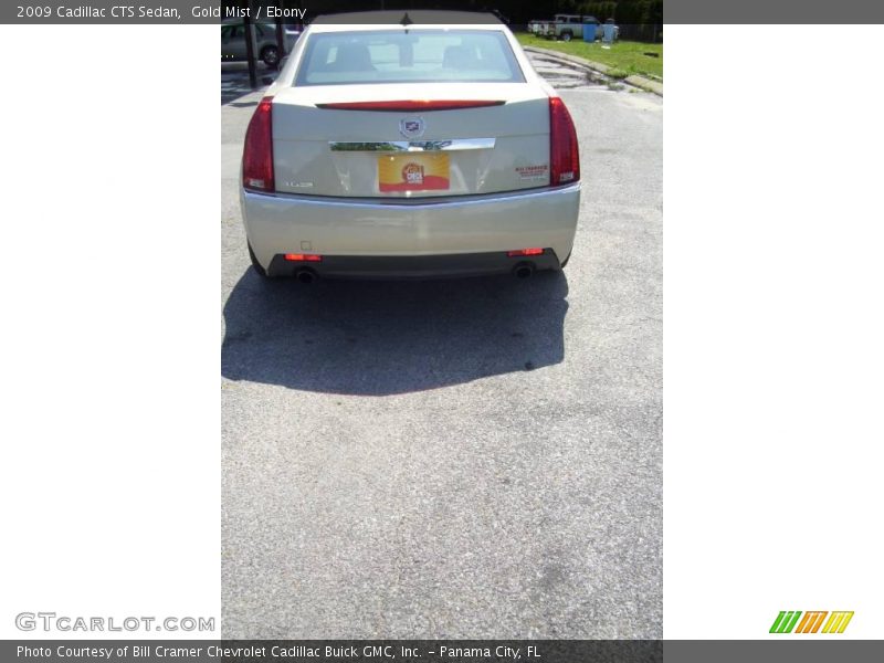 Gold Mist / Ebony 2009 Cadillac CTS Sedan