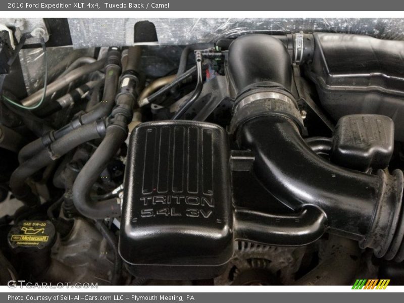 Tuxedo Black / Camel 2010 Ford Expedition XLT 4x4