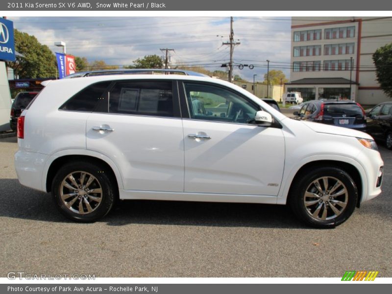 Snow White Pearl / Black 2011 Kia Sorento SX V6 AWD