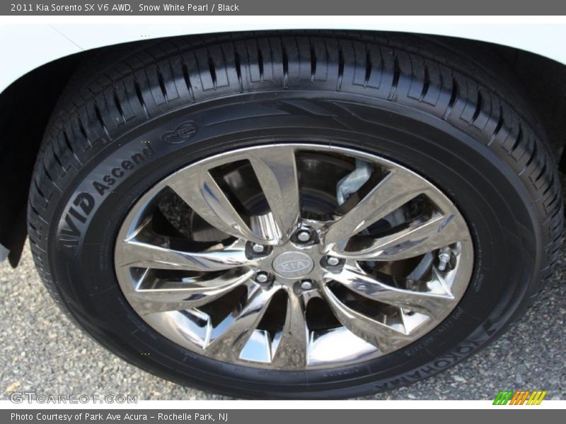 Snow White Pearl / Black 2011 Kia Sorento SX V6 AWD