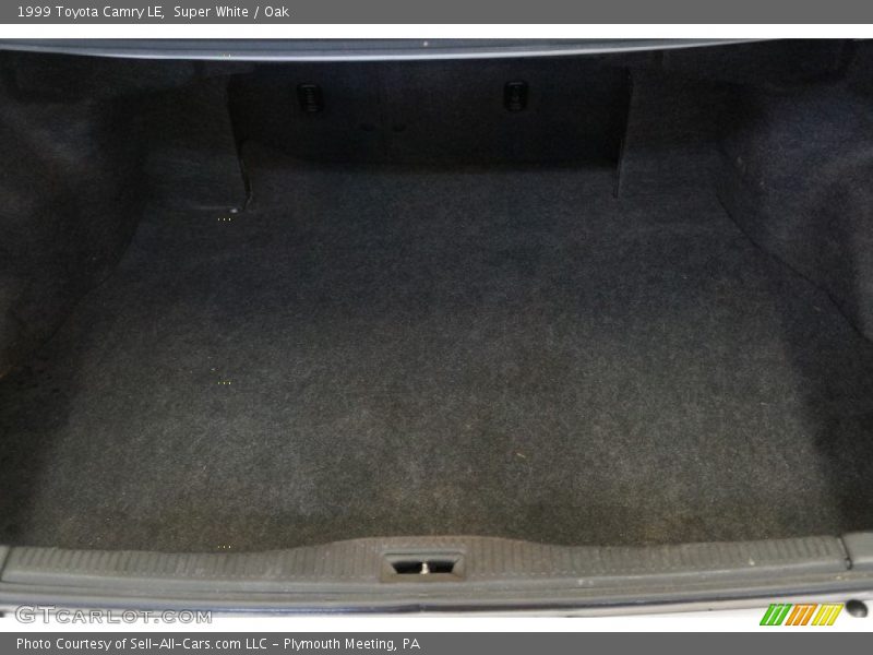 Super White / Oak 1999 Toyota Camry LE