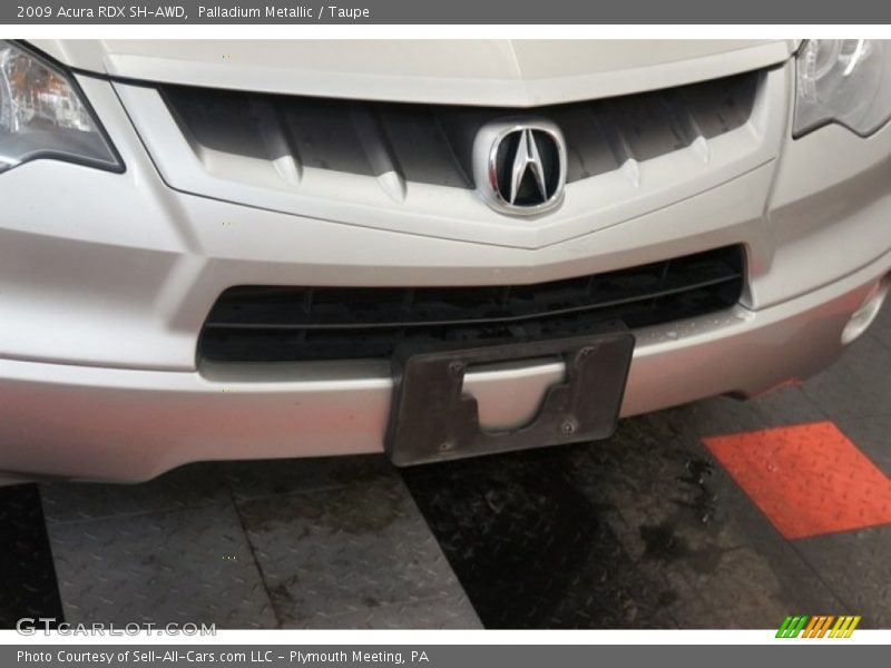 Palladium Metallic / Taupe 2009 Acura RDX SH-AWD