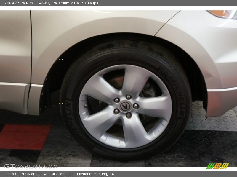 Palladium Metallic / Taupe 2009 Acura RDX SH-AWD