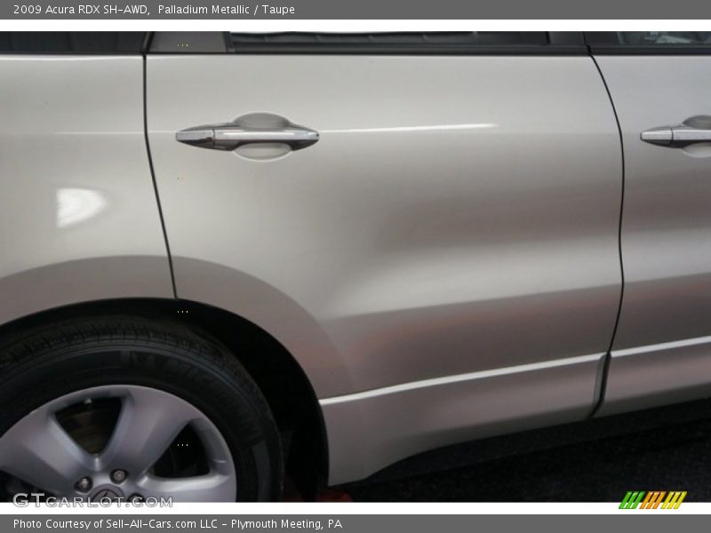 Palladium Metallic / Taupe 2009 Acura RDX SH-AWD