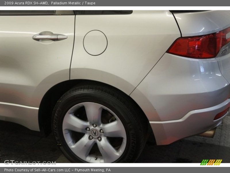 Palladium Metallic / Taupe 2009 Acura RDX SH-AWD
