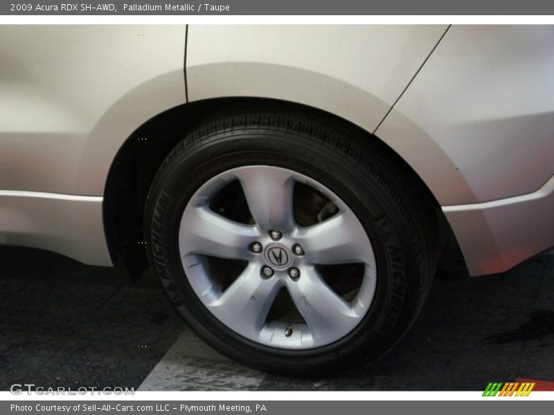 Palladium Metallic / Taupe 2009 Acura RDX SH-AWD