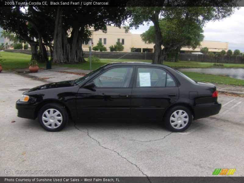 Black Sand Pearl / Light Charcoal 2001 Toyota Corolla CE