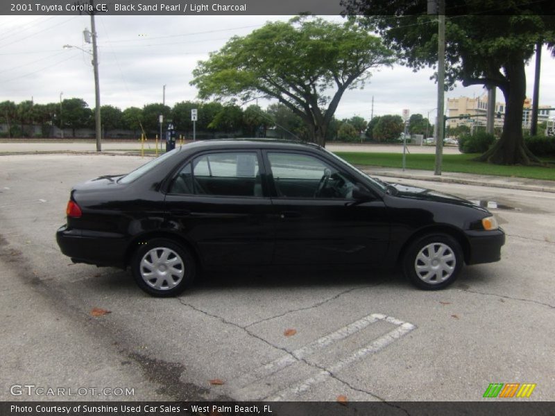 Black Sand Pearl / Light Charcoal 2001 Toyota Corolla CE