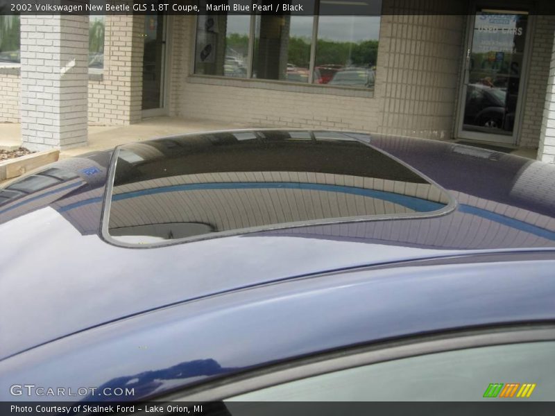 Marlin Blue Pearl / Black 2002 Volkswagen New Beetle GLS 1.8T Coupe