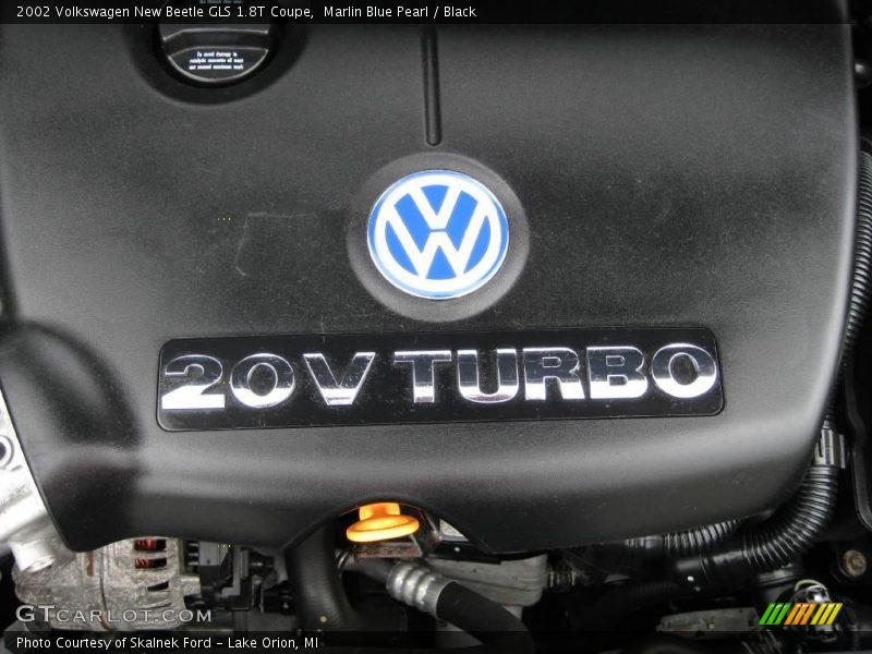 Marlin Blue Pearl / Black 2002 Volkswagen New Beetle GLS 1.8T Coupe