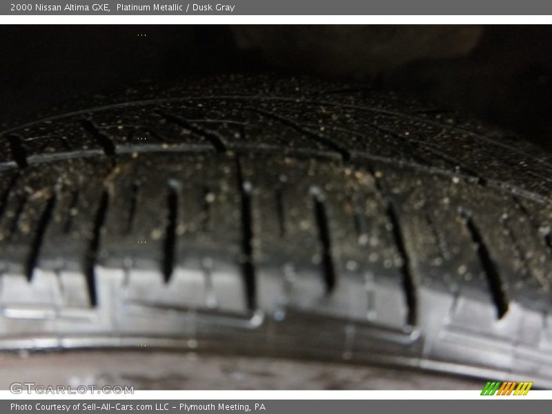 Platinum Metallic / Dusk Gray 2000 Nissan Altima GXE