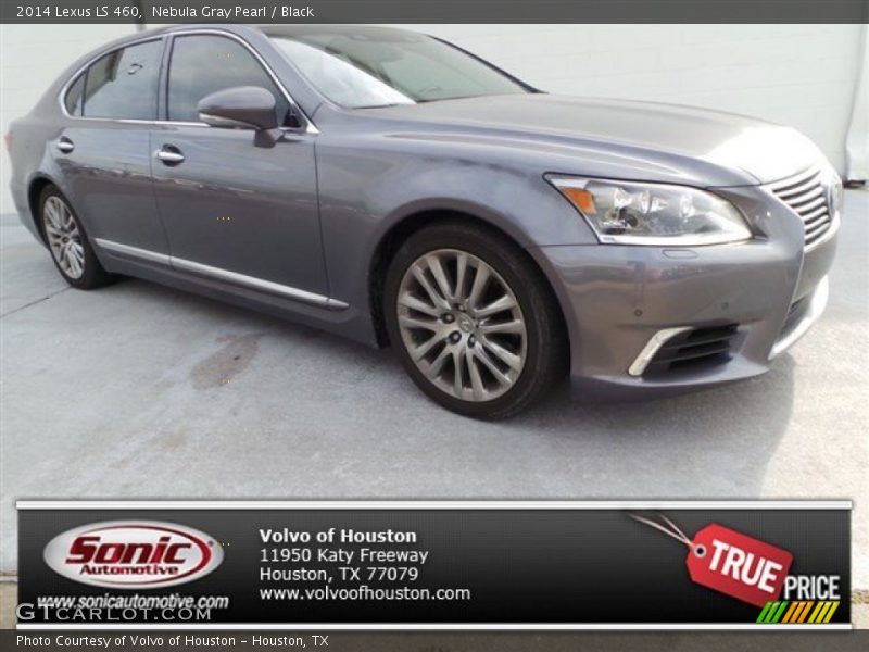 Nebula Gray Pearl / Black 2014 Lexus LS 460
