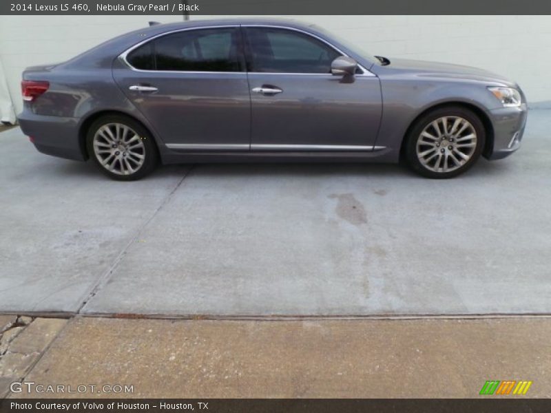 Nebula Gray Pearl / Black 2014 Lexus LS 460