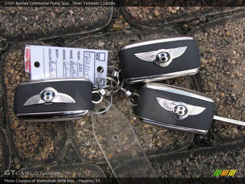 Silver Tempest / Saddle 2006 Bentley Continental Flying Spur