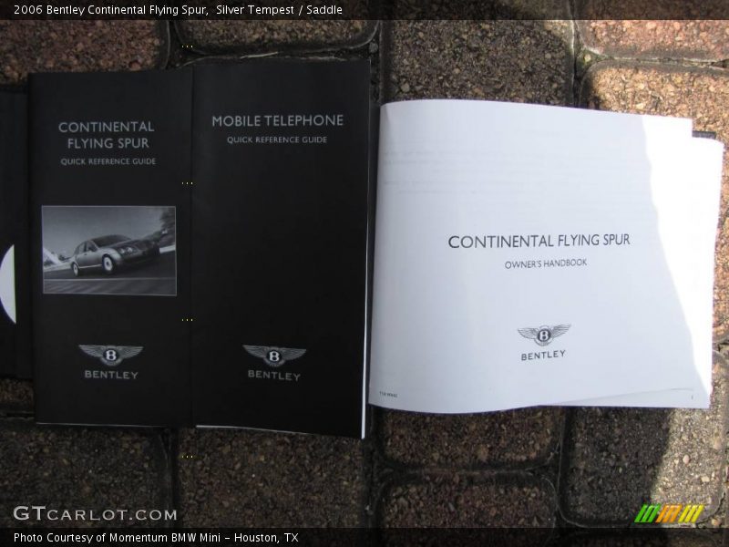 Silver Tempest / Saddle 2006 Bentley Continental Flying Spur