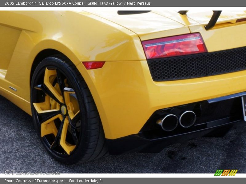 Giallo Halys (Yellow) / Nero Perseus 2009 Lamborghini Gallardo LP560-4 Coupe