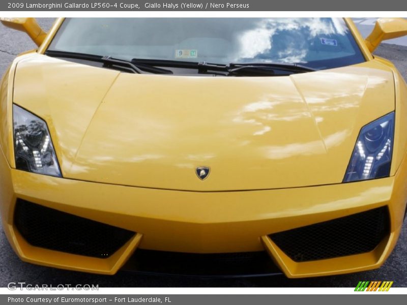 Giallo Halys (Yellow) / Nero Perseus 2009 Lamborghini Gallardo LP560-4 Coupe